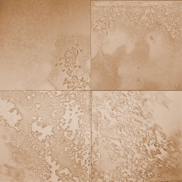 Bronze Tint