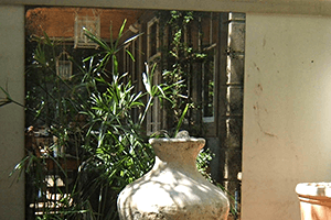 Garden Mirror